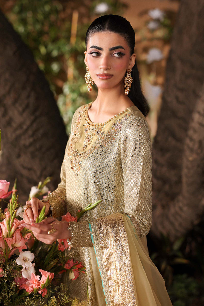 3 Piece Apple Green Embroidered Chiffon Suit